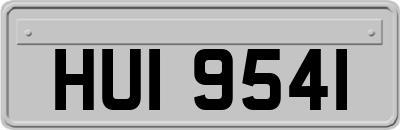 HUI9541