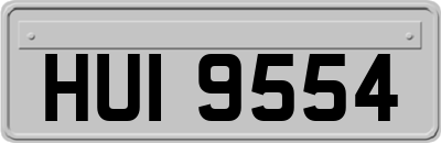 HUI9554