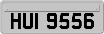 HUI9556