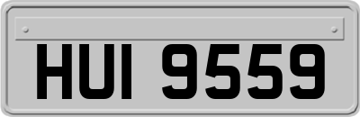 HUI9559