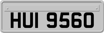 HUI9560