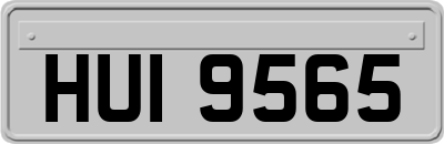 HUI9565