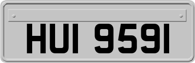 HUI9591