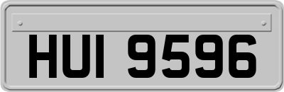 HUI9596