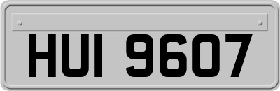 HUI9607