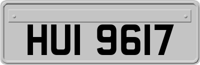 HUI9617