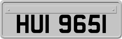 HUI9651