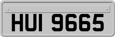 HUI9665