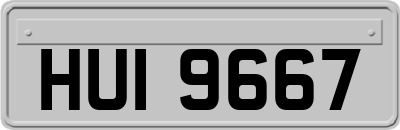 HUI9667