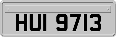 HUI9713