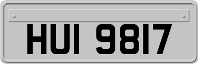 HUI9817