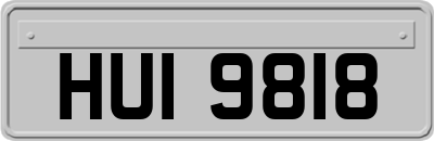 HUI9818