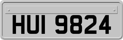 HUI9824