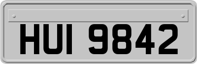 HUI9842