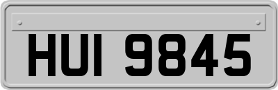 HUI9845