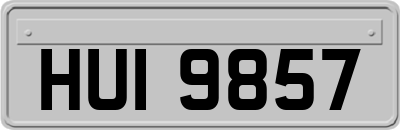 HUI9857