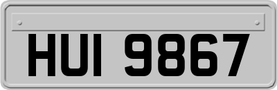 HUI9867