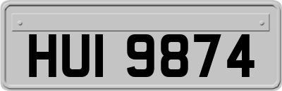 HUI9874