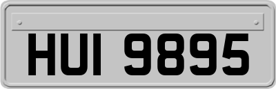 HUI9895