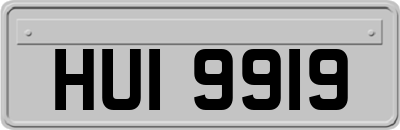 HUI9919