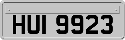 HUI9923