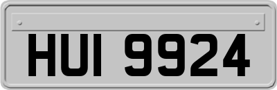 HUI9924