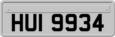 HUI9934