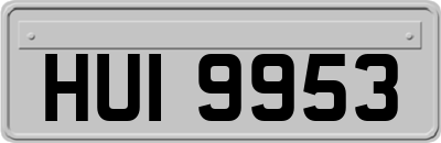 HUI9953