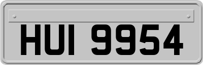 HUI9954