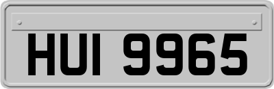 HUI9965