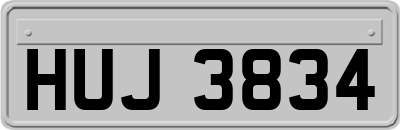 HUJ3834