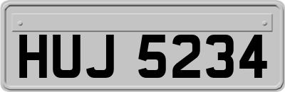 HUJ5234