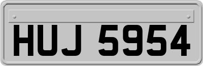 HUJ5954