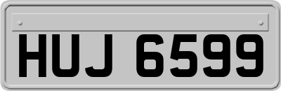 HUJ6599