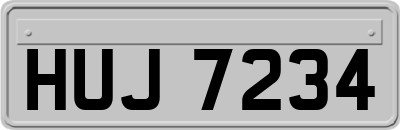 HUJ7234