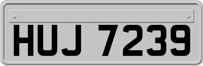 HUJ7239