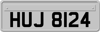 HUJ8124