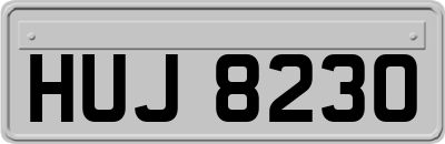 HUJ8230