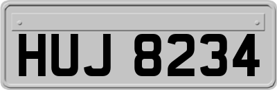 HUJ8234