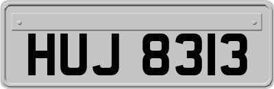 HUJ8313