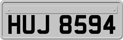 HUJ8594