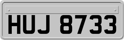 HUJ8733