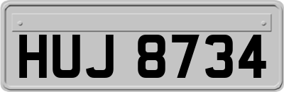 HUJ8734