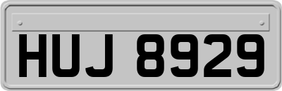 HUJ8929