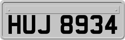 HUJ8934