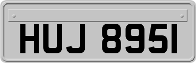 HUJ8951