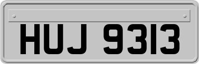 HUJ9313