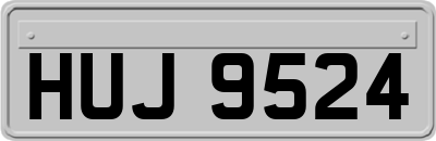 HUJ9524