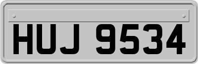 HUJ9534