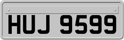 HUJ9599